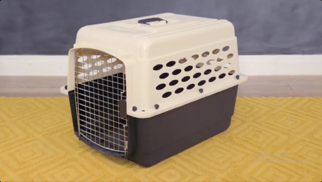 SportPet Designs Plastic Kennels Rolling Plastic Wire Door Travel Dog Crate 
