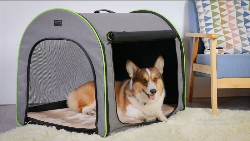 what is the best travel dog crate